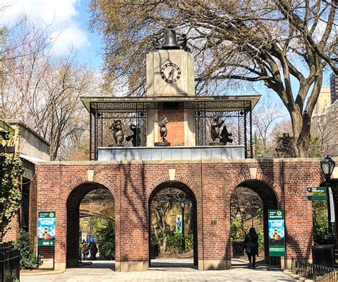 Manhattan zoo - RELATED: The Best Zoo in the US: Take Your Kids on a Family Animal Adventure Visit the Bronx Zoo to catch a glimpse of a baby gorilla in the Congo Gorilla Forest. Photo by Julie Larsen Maher/WCS. Bronx Zoo – Bronx Park, the Bronx. The largest of the city's zoos, the Bronx Zoo spans more than 250 acres and has 750 species on …